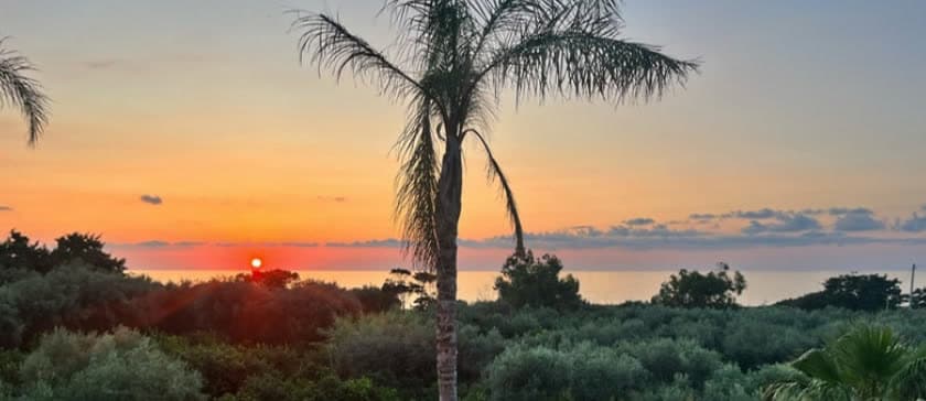 Eine Palme vor orangefarbenem Himmel bei Sonnenuntergang über dem Meer